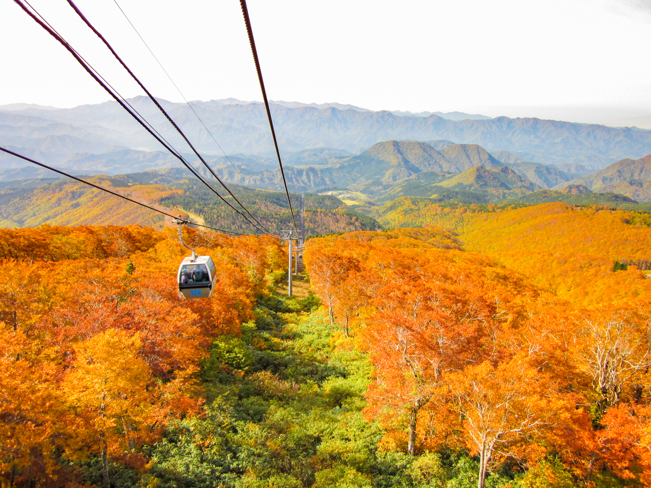 紅葉時の阿仁スキー場のゴンドラの写真